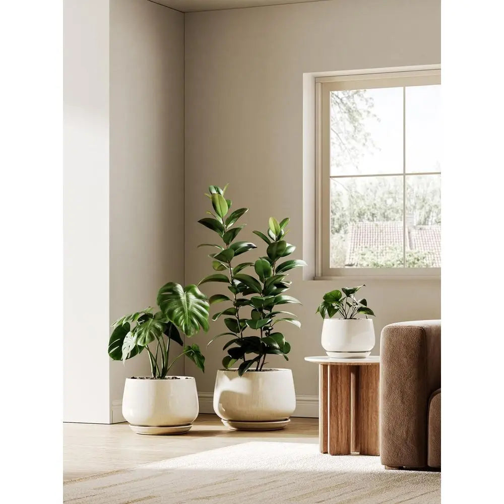 Ceramic Plant Pots Set of 2 for Indoor Plants Drainage