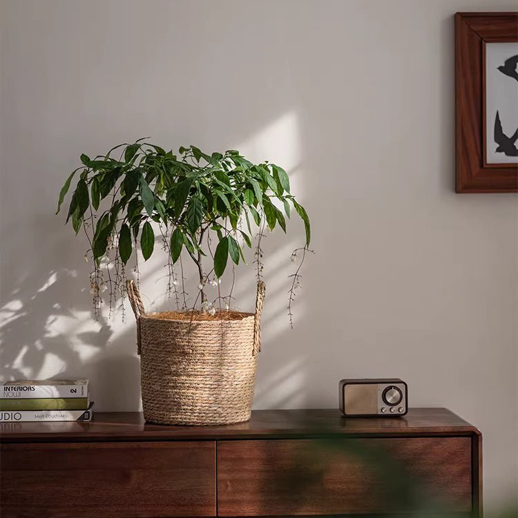 French Country Seagrass Planter Basket Includes Liner