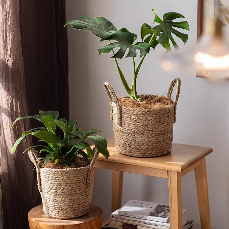 French Country Seagrass Planter Basket Includes Liner