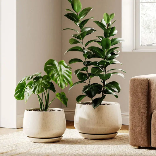 Ceramic Plant Pots Set of 2 for Indoor Plants Drainage