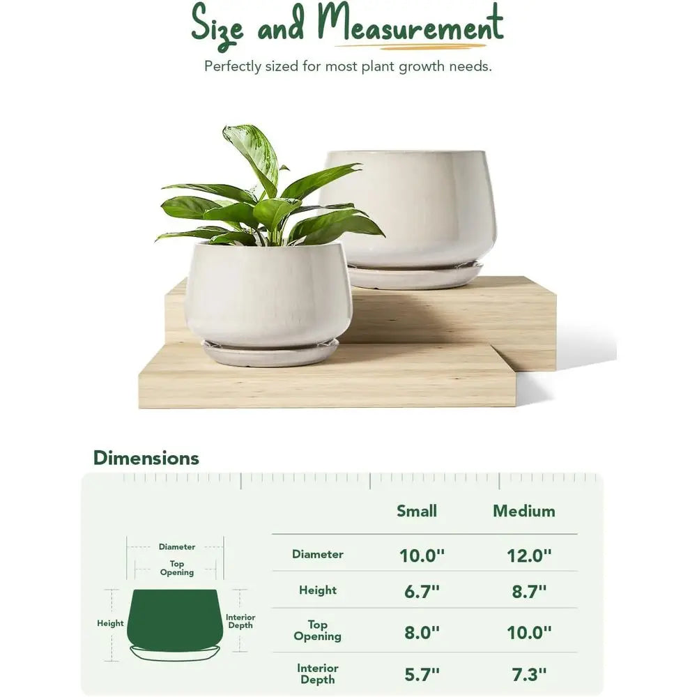 Ceramic Plant Pots Set of 2 for Indoor Plants Drainage