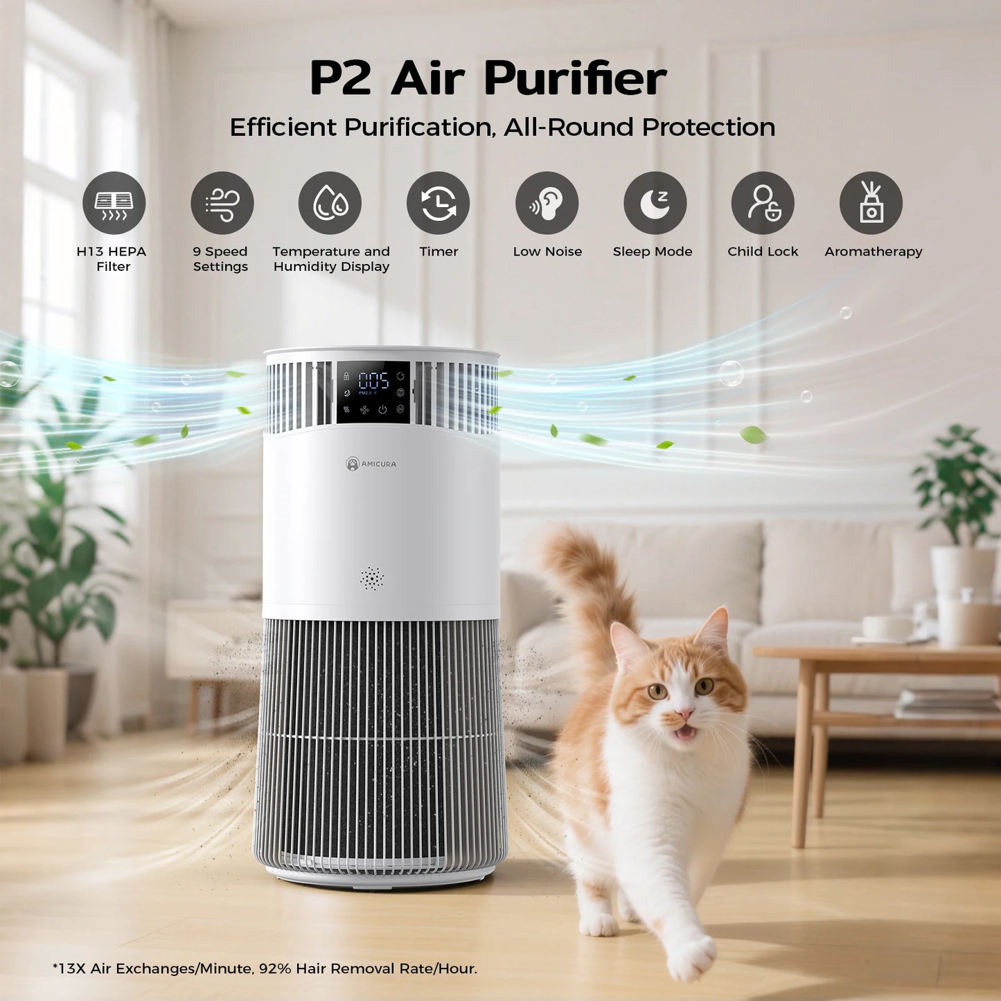 P2 Pet Allergy Air Purifier H13 Filter