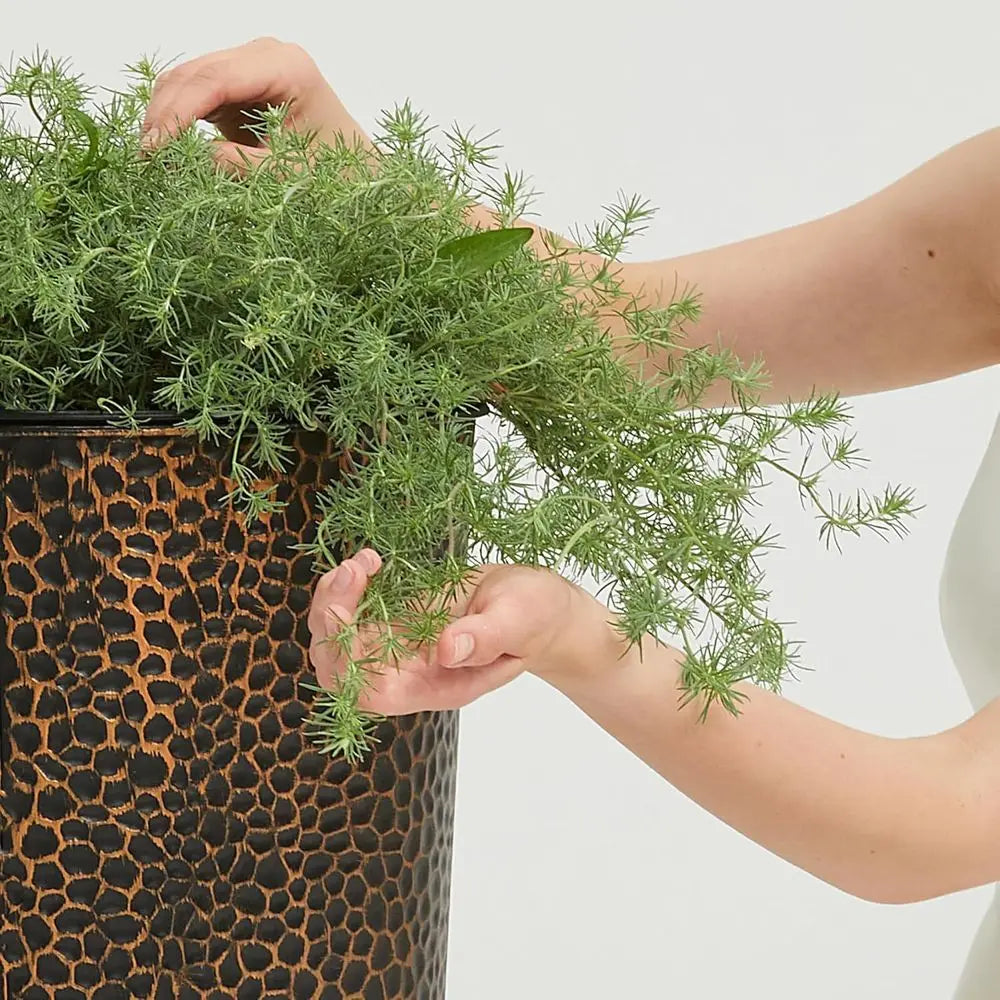 Hand-Hammered Metal Planters With Inside Pots Duo Set